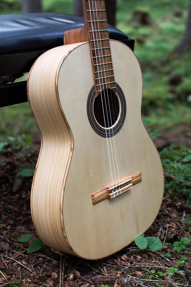 veneto, padova, strumenti musicali, chitarre, chitarre acustiche, chitarre elettriche, chitarre classiche, strumenti a corde