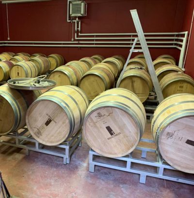 trentino alto adige, bolzano, azienda vinicola, vino italiano, vino rosso, vino bianco