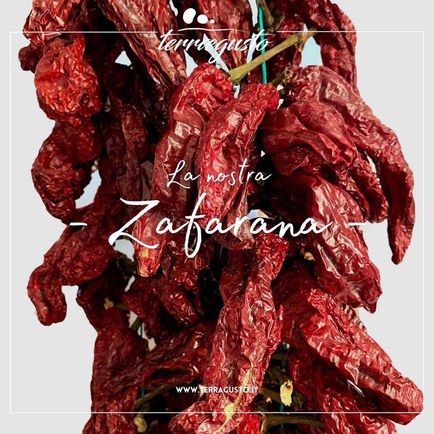 calabria, mormanno, azienda agricola, fagioli bianchi, peperoni, cereali, origano