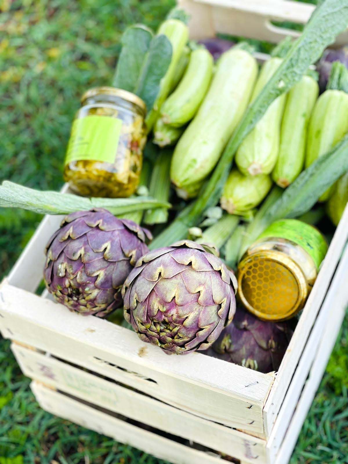 sardegna, azienda agricola, pomodori, zucchine, carciofi