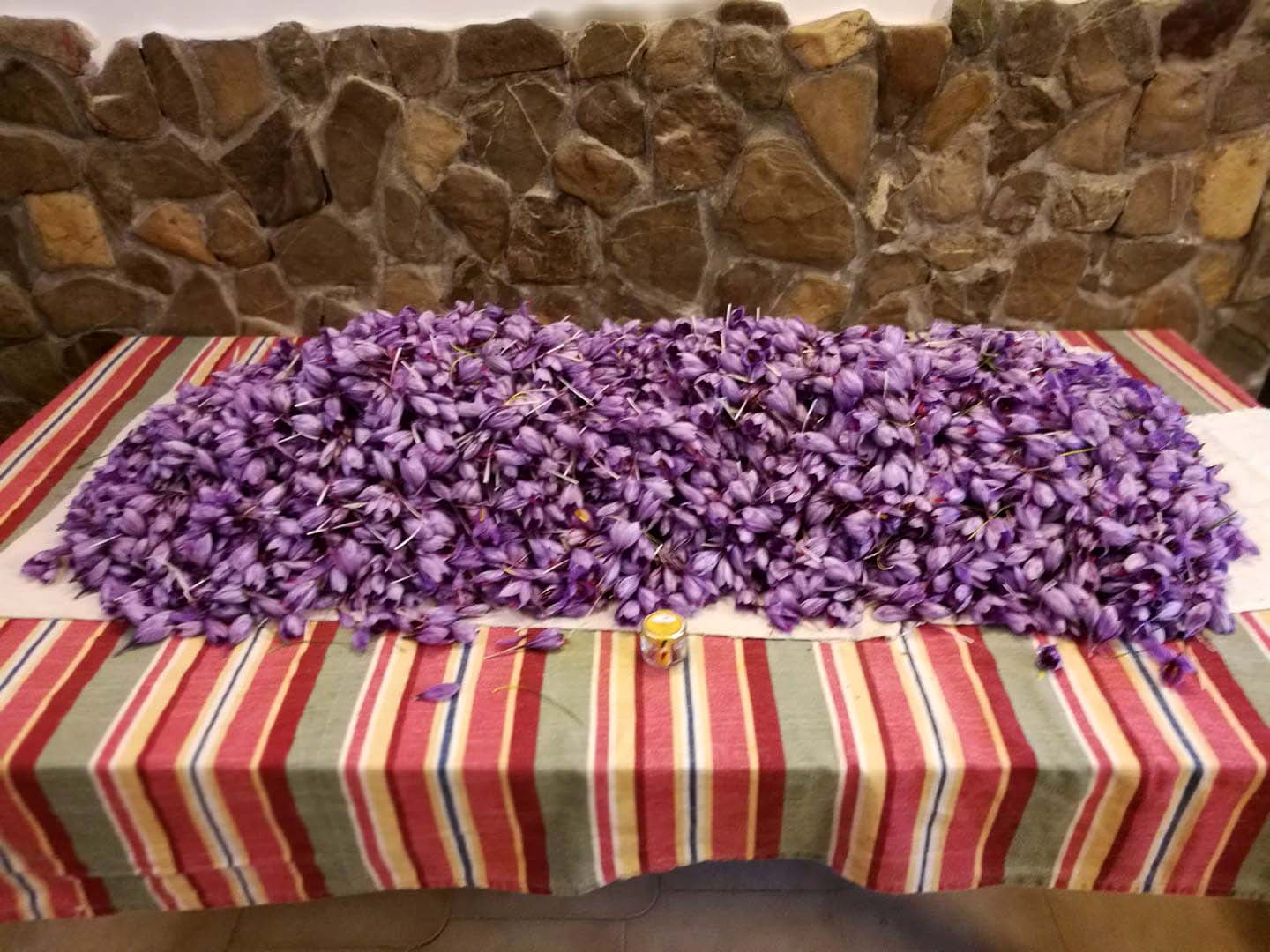 lombardia, azienda agricola, lavanda, zafferano, olio essenziale, erbe aromatiche, pavia