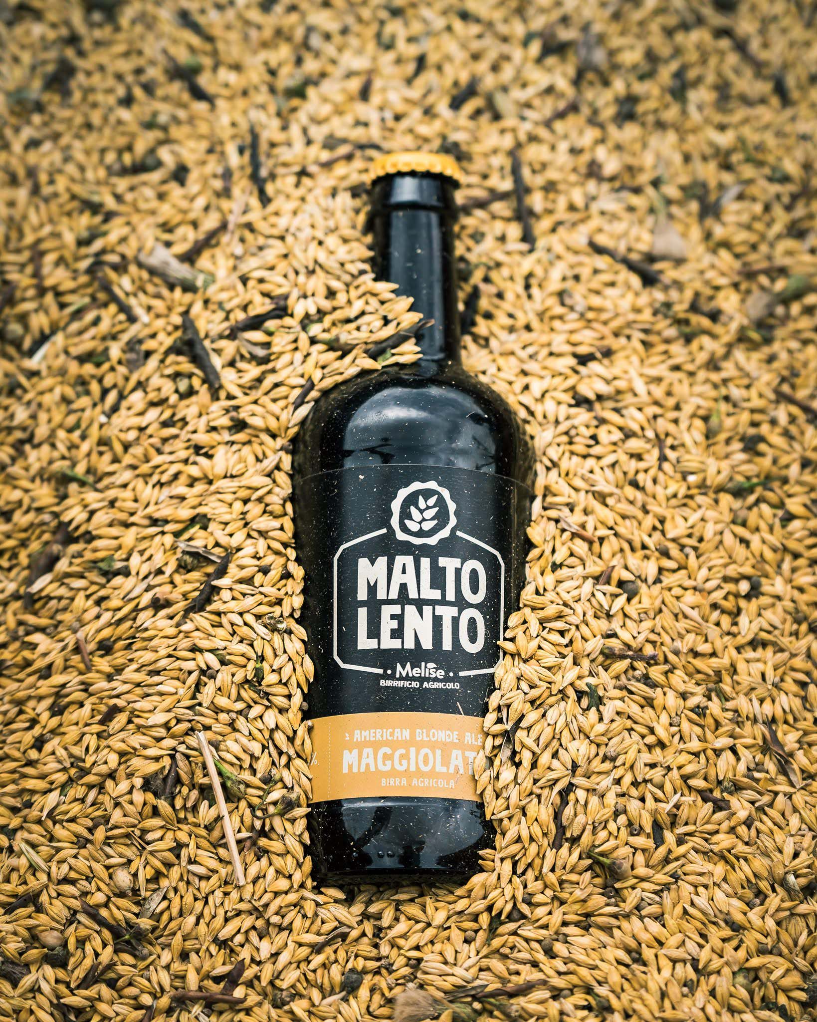 molise, birra artigianale, birra italiana, maltolento, gastronomia