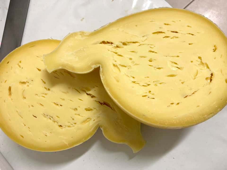 formaggi, mozzarelle, azienda agricola
