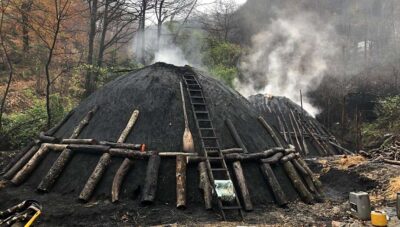 produzione di carbone vegetale