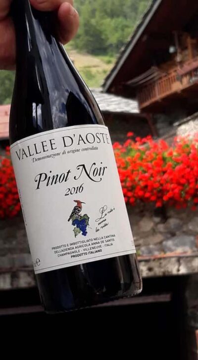 vini naturali in Valle d'Aosta, vino rosso, bianco, azienda agricola