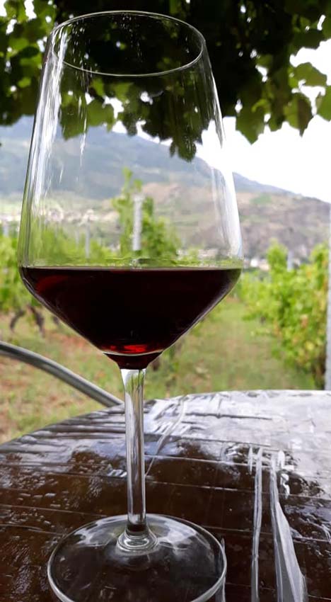 vini naturali in Valle d'Aosta, vino rosso, bianco, azienda agricola