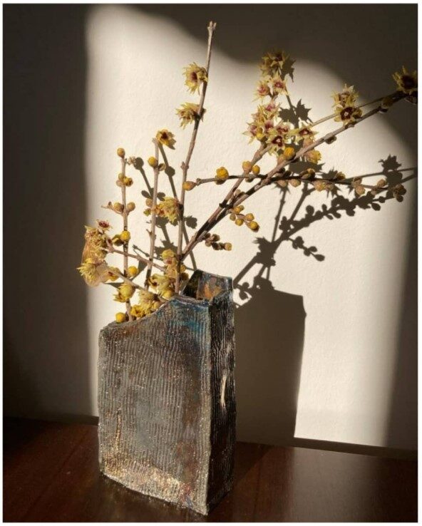 ceramichecarlotta56